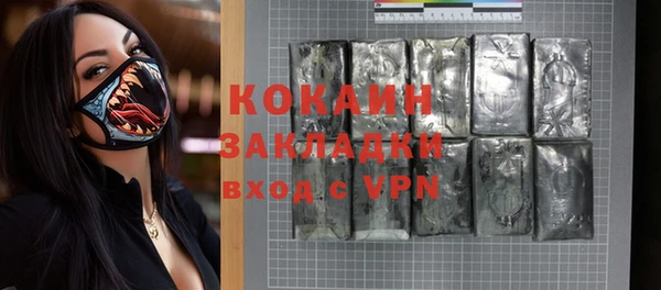 крисы Абаза