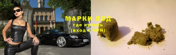 стафф Алексин