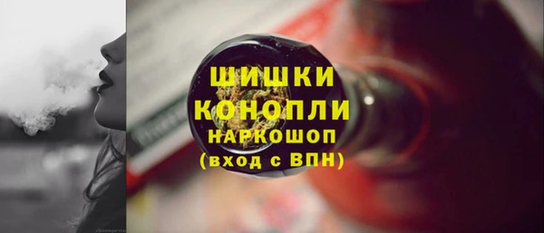 крисы Абаза