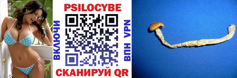 Псилоцибиновые грибы Psilocybe Тарко-Сале