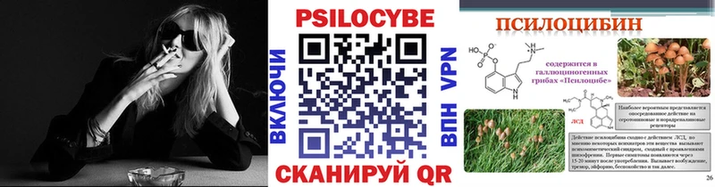 Псилоцибиновые грибы Psilocybe  Тарко-Сале 