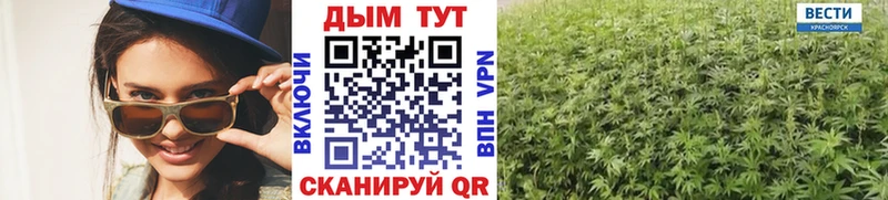 Шишки марихуана конопля как найти MEGA сайт Тарко-Сале